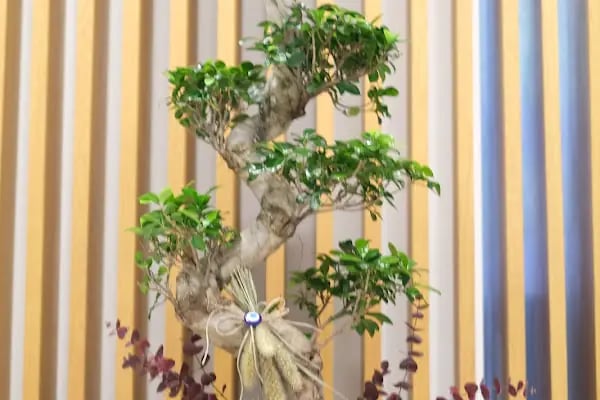 7/24 Çiçekçi - Aidia Flower &amp; Design - Resim 10