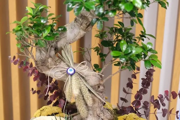 7/24 Çiçekçi - Aidia Flower &amp; Design - Resim 19