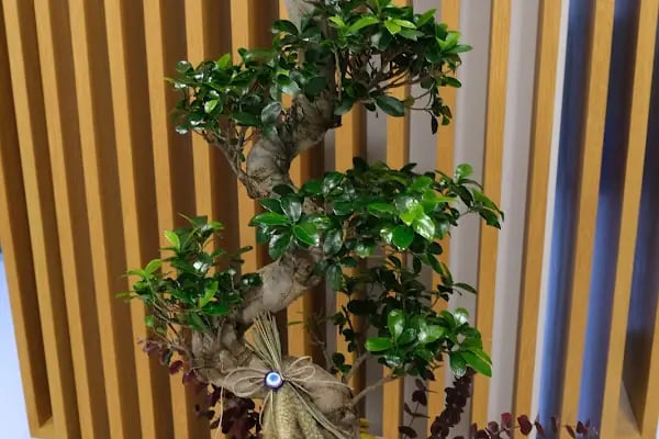 7/24 Çiçekçi - Aidia Flower &amp; Design - Resim 7