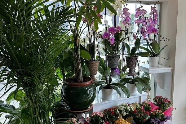 7/24 Çiçekçi - Aidia Flower &amp; Design - Resim 3