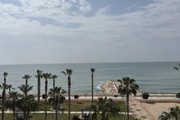 Loba Cafe (Loba Terrace) - Resim 9