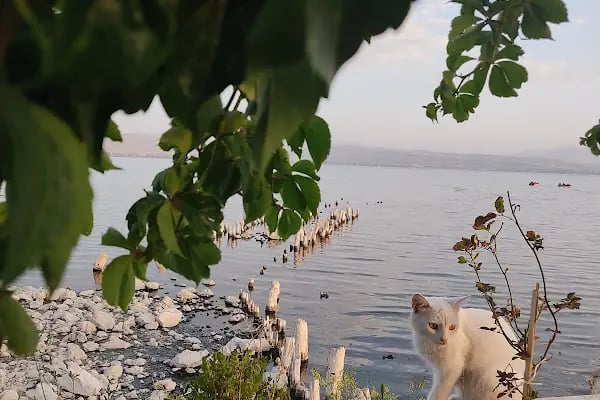 Huvhulşş - Resim 14