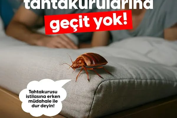 Haşere İlaçlama - Resim 19
