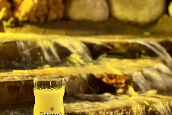 Söğütlü Piknik Restaurant - Resim 12