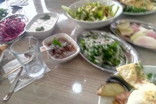 Söğütlü Piknik Restaurant - Resim 18