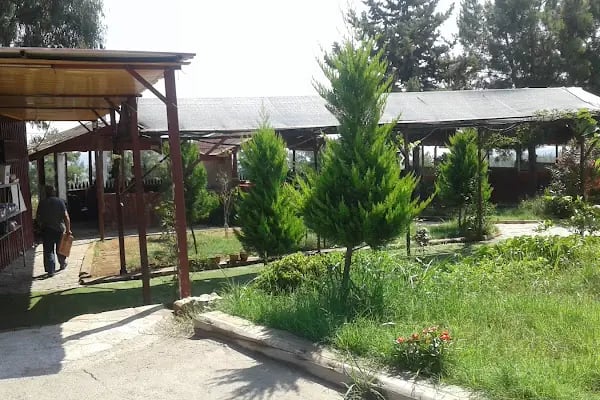 Söğütlü Piknik Restaurant - Resim 6