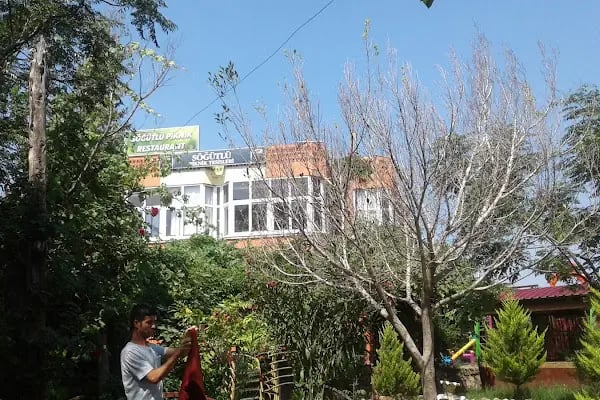 Söğütlü Piknik Restaurant - Resim 8