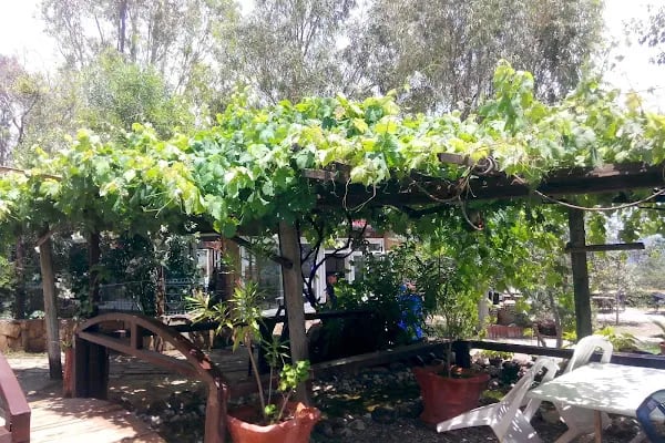 Söğütlü Piknik Restaurant - Resim 11