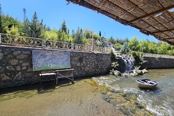 Sürgü Çamlıca Et Balık Restaurant - Resim 11