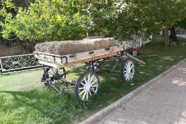 Sürgü Çamlıca Et Balık Restaurant - Resim 9
