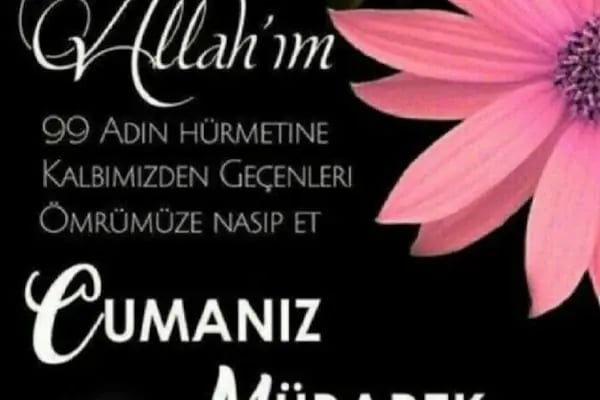 BEREKET MANAV - Resim 14