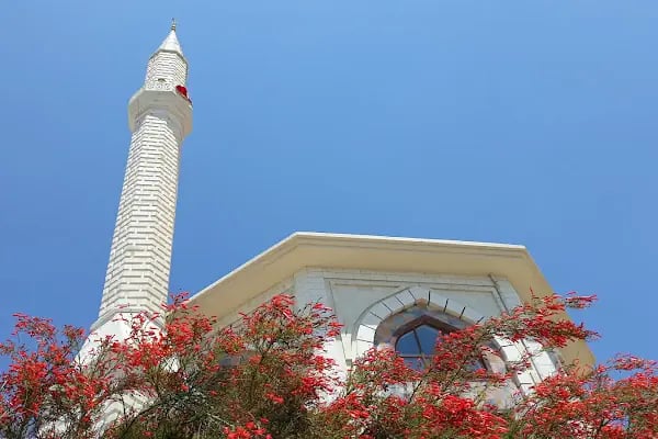 Konacık Mahallesi Sariye Saffet Çebi Camii - Resim 3