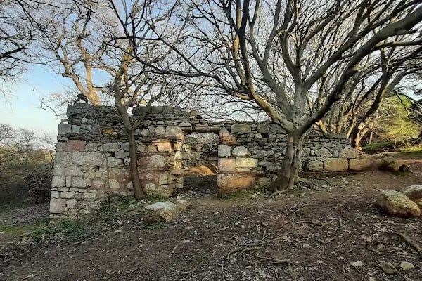 Zoodochos Pege kilise - Resim 4