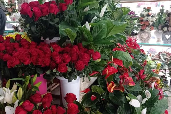Arnavutköy çiçekçisi, Hadımköy çiçekçisi, Kardelen Çiçekcilik - Resim 7