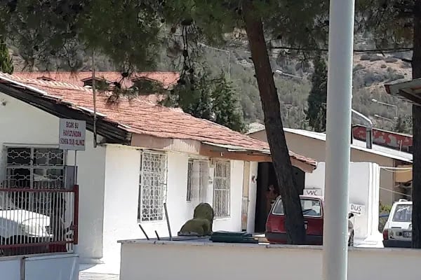 Kurhaus Arslan Camping (Pansion-Havuz-Piknik-Kamping) - Resim 17