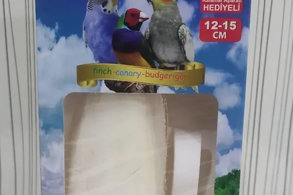 Akvaryum Ve Kuş EROVA ANKARA - Resim 19