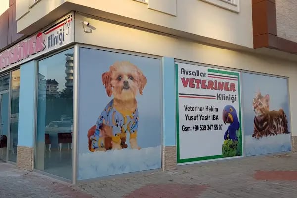 Avsallar Veteriner Kliniği / Kleintierpraxis / Pet Clinic - Resim 5