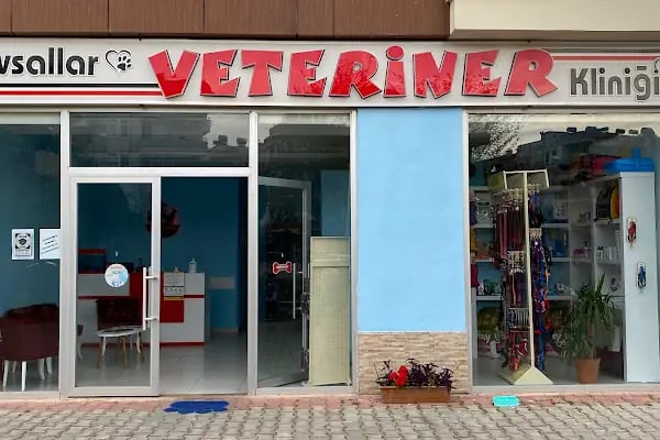 Avsallar Veteriner Kliniği / Kleintierpraxis / Pet Clinic - Resim 1