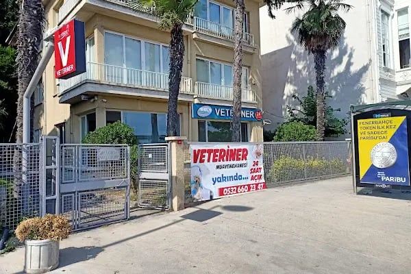 Sarıyer Bosphorus Veteriner Kliniği - Resim 5
