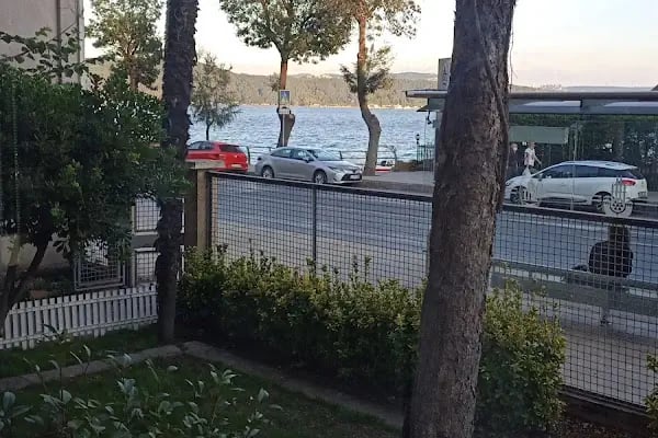Sarıyer Bosphorus Veteriner Kliniği - Resim 9