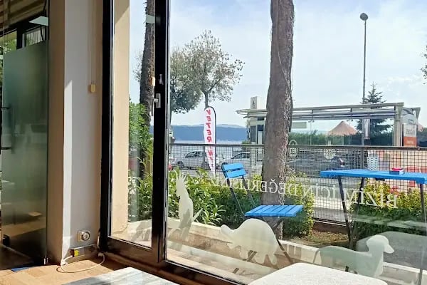 Sarıyer Bosphorus Veteriner Kliniği - Resim 11
