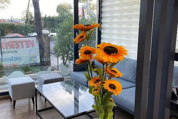 Sarıyer Bosphorus Veteriner Kliniği - Resim 6