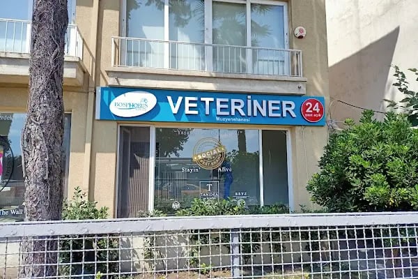 Sarıyer Bosphorus Veteriner Kliniği - Resim 4
