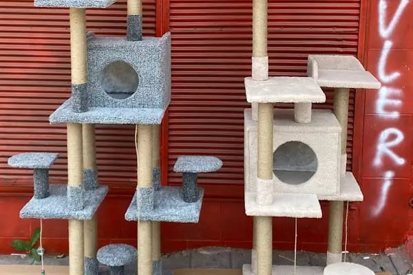 Duman Mia kedi evleri - Resim 11