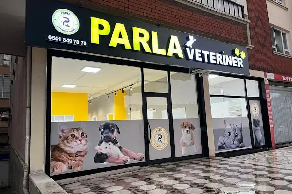 Parla Veteriner Kliniği - Resim 2