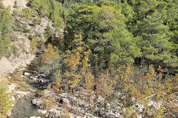 Gelin şelalesi - Resim 6