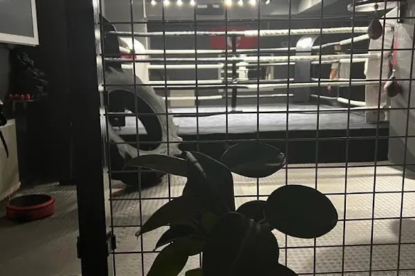 Samsun Dövüş Spor Kulübü - Resim 3