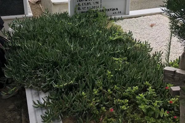 İstiklal Mezarlığı - Resim 12