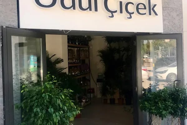 Ödül Çiçekçilik - Resim 2