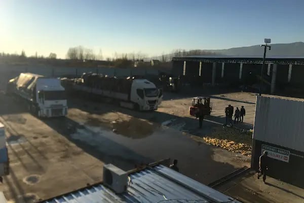 EKOLOJİK ÇEVRE GERİ DÖNÜŞÜM LTD. ŞTİ. - Resim 10