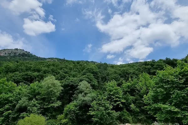 Bursa yeşil vadi adrenalin park - Resim 7