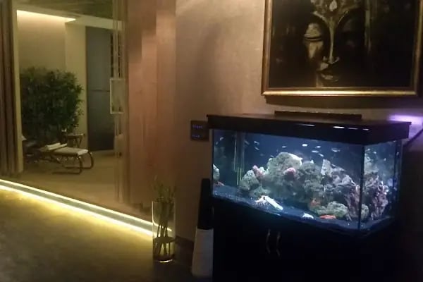 Talisma Spa &amp; Masaj / Ankara Spa - Resim 5