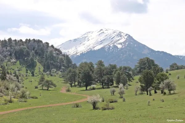 Çorbacı Suyu-Akseki Bademli - Resim 9