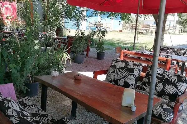 Çınarlı Kahve - Resim 2