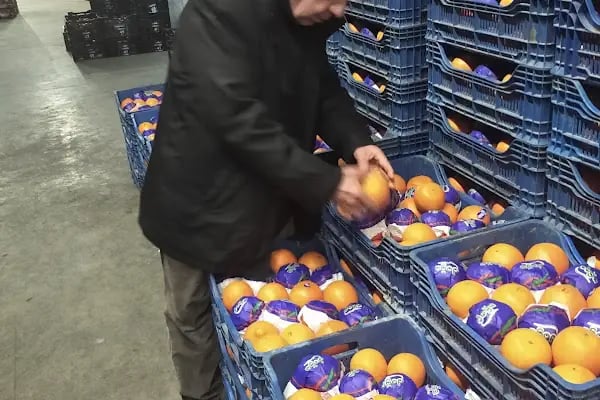 Balıkesir Büyükşehir Belediyesi Toptancı Hali - Resim 9