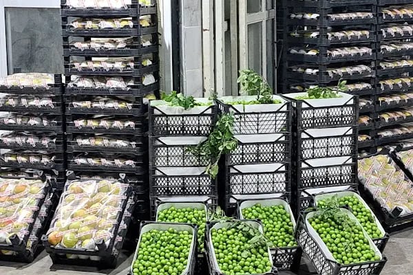 Balıkesir Büyükşehir Belediyesi Toptancı Hali - Resim 19