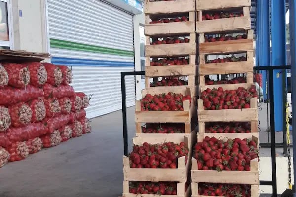 Balıkesir Büyükşehir Belediyesi Toptancı Hali - Resim 5