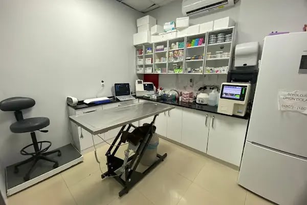 Anka Veteriner Kliniği - Resim 2