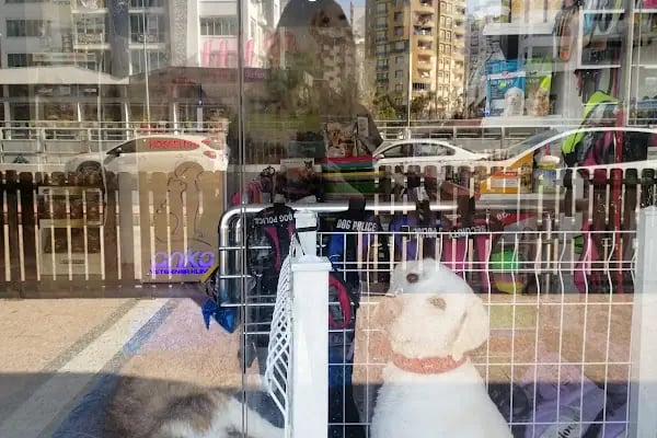Anka Veteriner Kliniği - Resim 9