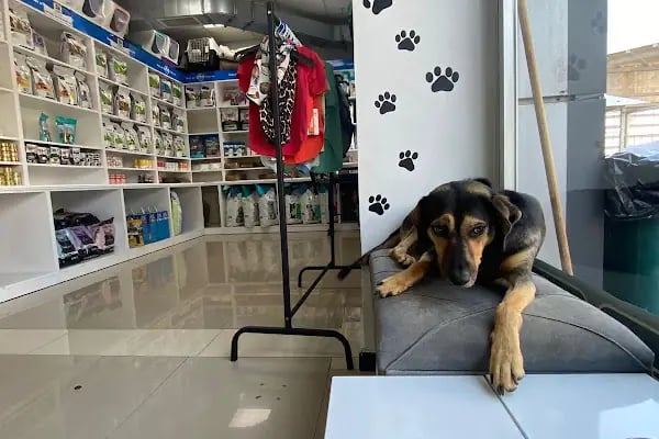 Anka Veteriner Kliniği - Resim 5