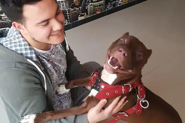 Anka Veteriner Kliniği - Resim 20