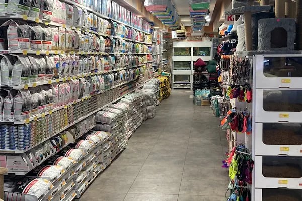 Ankara Pet Shop - Resim 17