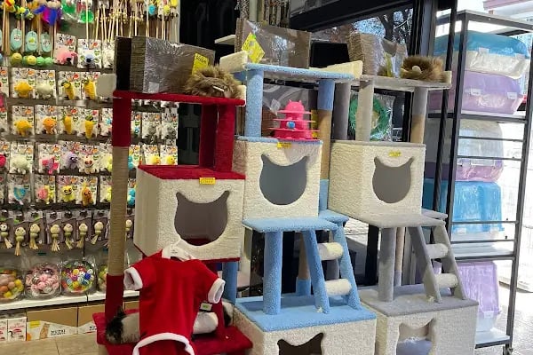 Ankara Pet Shop - Resim 6