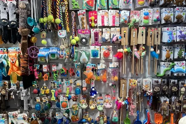 Ankara Pet Shop - Resim 11
