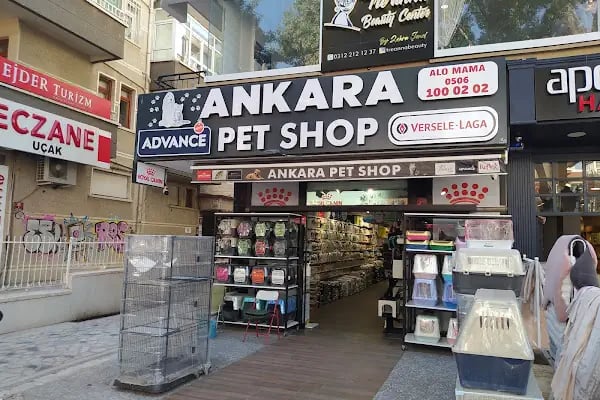 Ankara Pet Shop - Resim 13