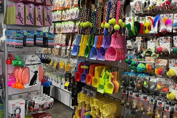 Ankara Pet Shop - Resim 19